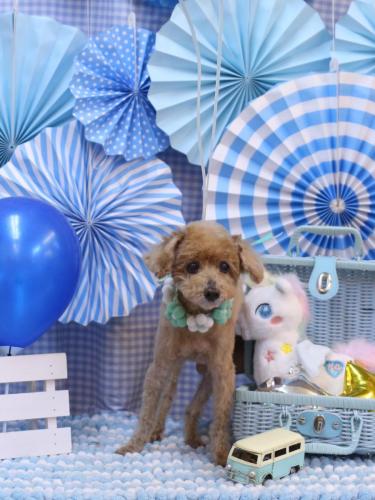 20231123マムちゃん